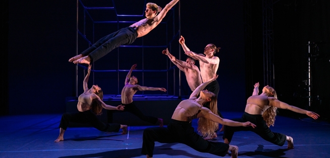Additional Gallery Picture 15 Nobody By Motionhouse Image Credit Dan Tucker