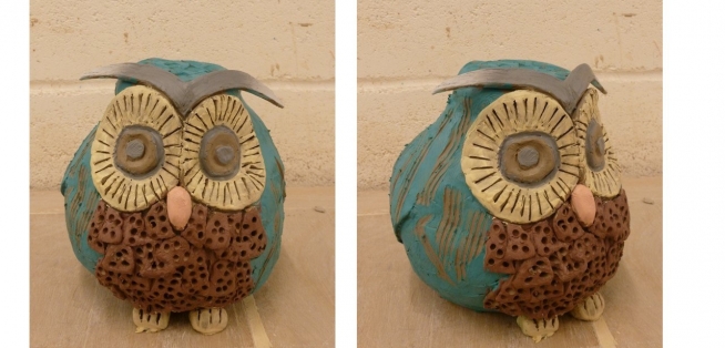 Birds Student Exemplars