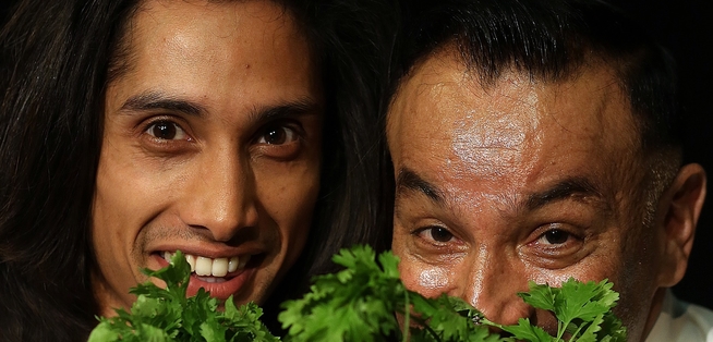 Chef Show Marketing Coriander Hedge