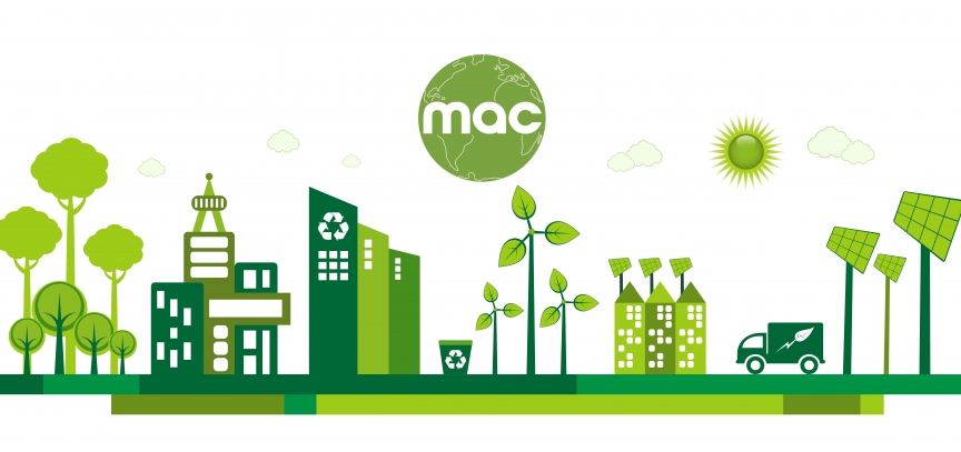 Eco Fest