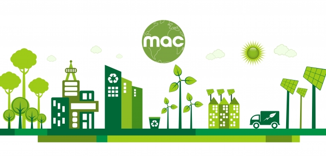 Eco Fest