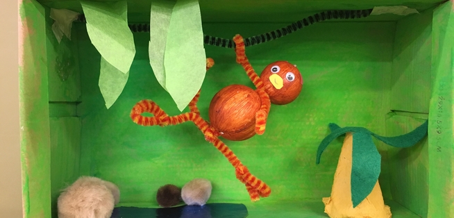 Rainforest Box