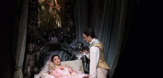 The Sleeping Beauty