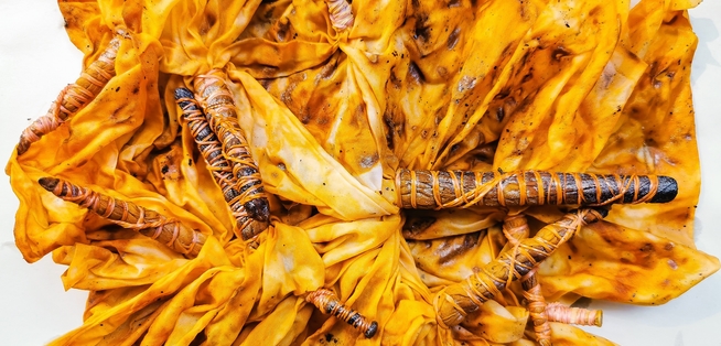 Rust Dyeing