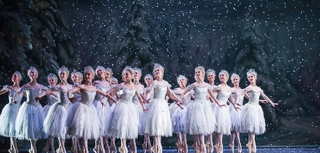 Roh Nutcracker M